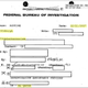 Illustration for article titled FBI Secretly Collected Data on Aaron Swartz Earlier Than We Thought—in a Case Involving Al Qaeda